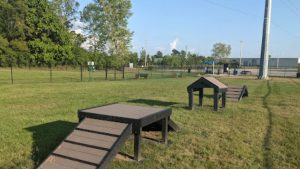 Apartments in Lebanon Agility training platforms for dogs in a grassy outdoor area.