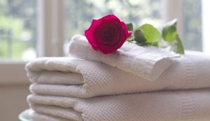 Apartments in Lebanon, IN A red rose resting on top of a stack of white towels near a window with a garden and basketball free throws view.