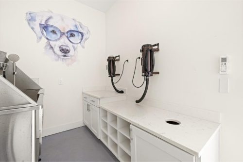 Indiana, Boone County, Lebanon Apartments for rent A pet grooming station with white cabinets, two mounted dryers, a stainless steel tub, and a wall mural of a dog wearing blue glasses. See all available apartments for rent at Hickory Cottages in Indiana Boone County Lebanon, Hickory Cottages has rental units ranging from 664-1420 sq ft